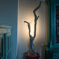 Vossia - driftwood rope lamp  with ceramic