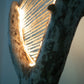 Scanazzata - diftwood rope lamp