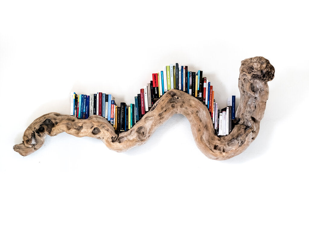 libreria a forma di serpente